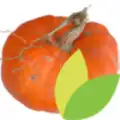 Au Potager