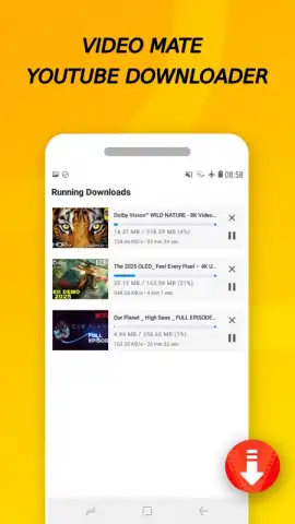 Vidora YouTube Downloader | free & fast скриншот 9